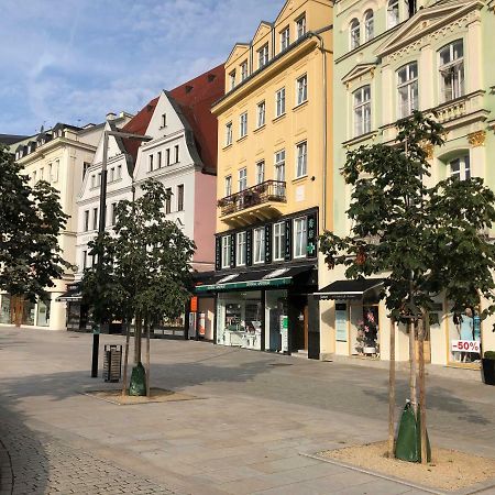 Apartman Orchidej U Vridla Karlovy Vary Kültér fotó