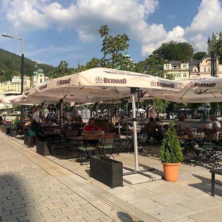 Apartman Orchidej U Vridla Karlovy Vary Kültér fotó