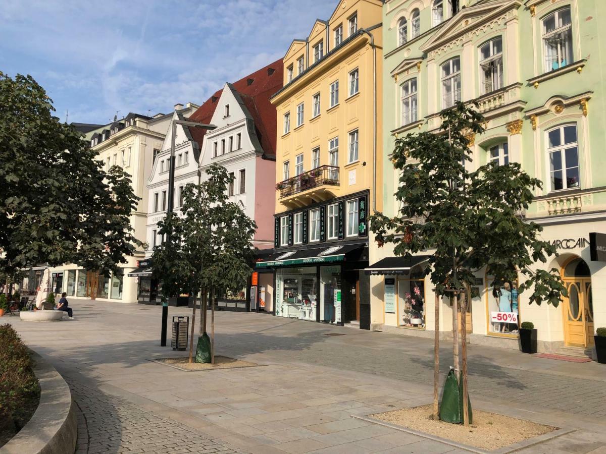 Apartman Orchidej U Vridla Karlovy Vary Kültér fotó