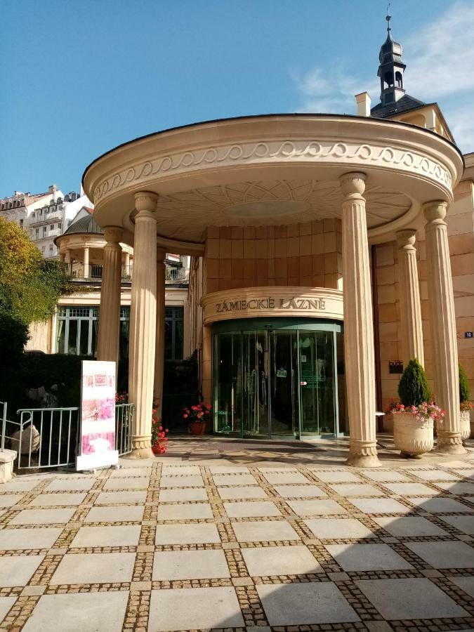 Apartman Orchidej U Vridla Karlovy Vary Kültér fotó