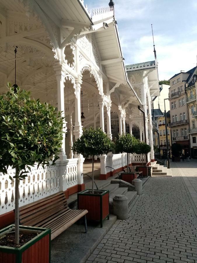 Apartman Orchidej U Vridla Karlovy Vary Kültér fotó