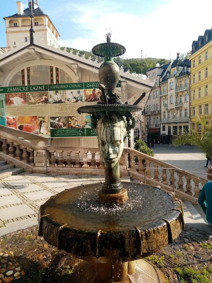 Apartman Orchidej U Vridla Karlovy Vary Kültér fotó