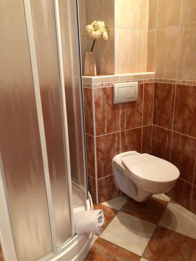 Apartman Orchidej U Vridla Karlovy Vary Kültér fotó
