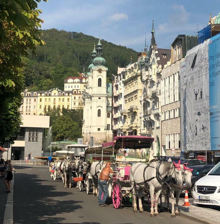 Apartman Orchidej U Vridla Karlovy Vary Kültér fotó