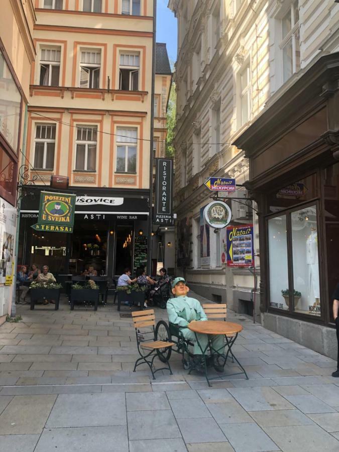 Apartman Orchidej U Vridla Karlovy Vary Kültér fotó